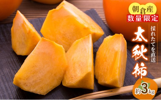 
            【先行予約】柿 太秋柿 3kg 箱 果物類 フルーツ 果物 果実 デザート おやつ 食後 秋の味覚 旬の果物 季節の味 国産 日本産 
          