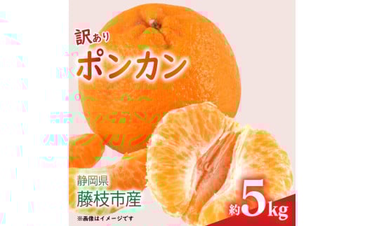 【先行予約：2026年1月下旬より発送】 訳あり みかん 5kg M～2L ポンカン ミカン 果物 国産 フルーツ 柑橘 数量限定 静岡県産 蜜柑 大小 ミックス 不揃い ビタミン 美味しい 静岡県 藤枝市 ふるさと人気