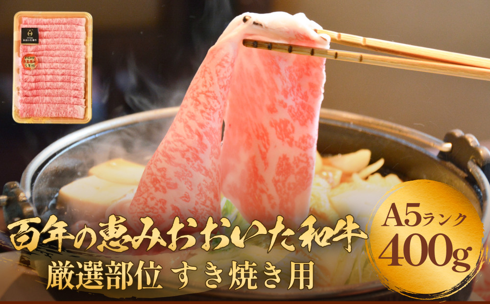 
            「百年の恵み おおいた和牛」A5すき焼き 400g おおいた和牛 黒毛和牛 A5 等級 牛肉 ロース 肩ロース もも 400g 霜降り 血統 大分 肉
          