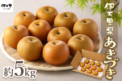 【2025年産先行予約】伊万里梨「あきづき」 約5kg 178-B165