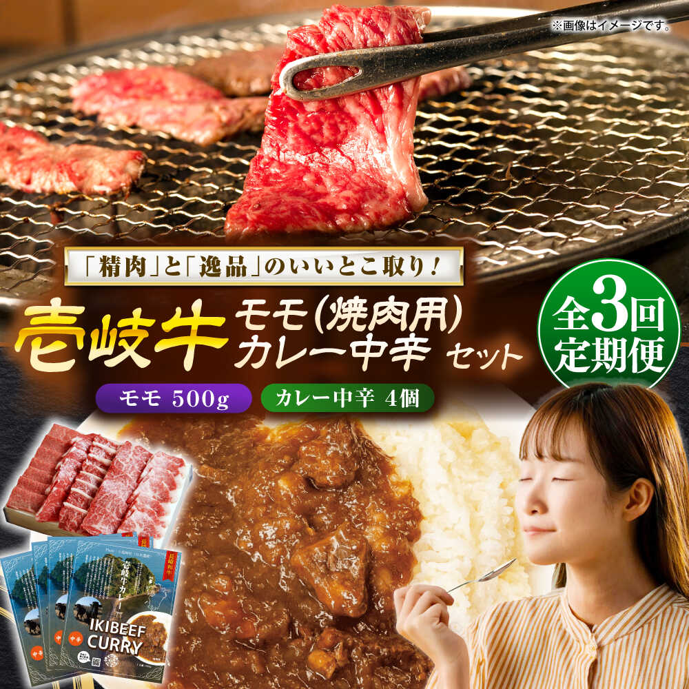 【ふるさと納税】【全3回定期便】壱岐牛モモ＆壱岐牛カレー中辛セット《壱岐市》【壱岐フードファクトリー】カレー モモ 焼き肉 壱岐牛[JDW131]