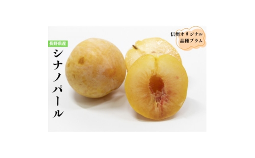長野県のオリジナル品種　至高のプラム　シナノパール　4個【1676949】