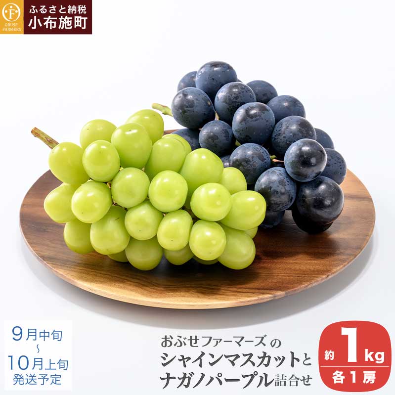 【ふるさと納税】皮ごと食べられる長野県産ぶどう2種詰め合わせ シャインマスカット ＆ ナガノパープル 約1kg 各1房 ［おぶせファーマーズ］ 数量限定 果物 フルーツ ぶどう 葡萄 長野 信州 2種 クール便 味比べ 詰合せ お楽しみ 令和7年産【2025年9月中旬〜10月上旬発送】