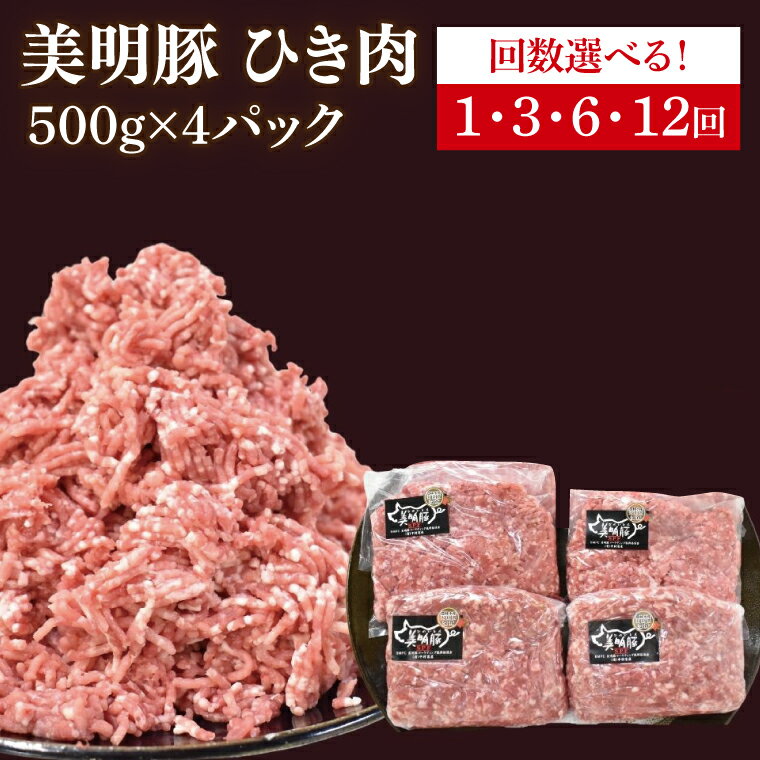 【ふるさと納税】【選べる】【美明豚】挽肉 計2kg(約500g×4パック)（DH-19）