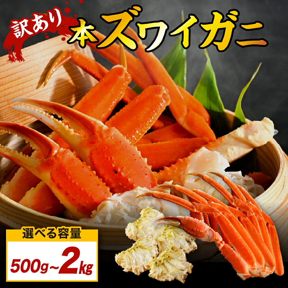 【ふるさと納税】訳アリ 本 ズワイガニ ( 選べる : 500g / 1kg / 2kg )/ ずわいがに ずわい蟹 ズワイ ずわい 蟹 カニ かに かに鍋 お取り寄せ グルメ ご当地 特産 産地 直送 冷凍 冷凍便 送料無料 北海道 えりも町