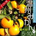 【ふるさと納税】【選べる内容量】【期間限定】土佐の高知のくだもの畑 みかん（ギフト用）約5kg/約10kg - 温州みかん ミカン 蜜柑 柑橘 柑橘類 フルーツ 果物 くだもの 熨斗 のし対応可 贈り物 贈答用 贈答品 プレゼント お礼 お祝い 感謝 高知県 香南市【常温】Rkd-0022