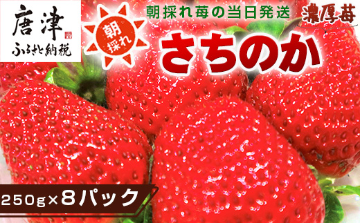 『先行予約』【令和9年1月より順次発送】濃厚苺 さちのか 250g×8パック(合計2kg) 濃厚いちご 苺 イチゴ 果物 フルーツ ビタミン