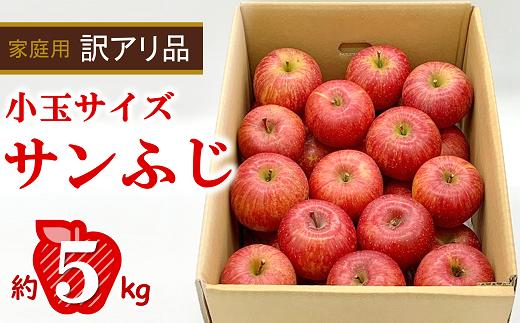 〈訳あり品 家庭用〉 りんご 「完熟サンふじ」 食べきりサイズ 約5kg (30玉程度 小玉サイズ) バラ詰め 令和6年12月中旬～1月下旬 旬の果実 佐藤市右衛門農園 山形県 南陽市 [1408]