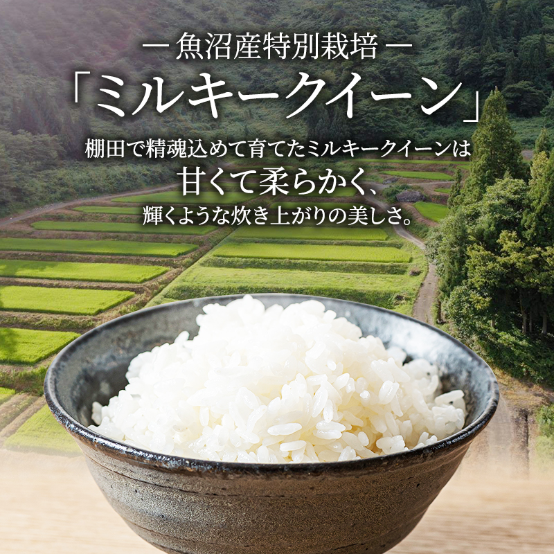 魚沼産 特別栽培 ミルキークイーン 5kg 袋 5ヶ月 連続お届け （ 米 定期便 お米 特別栽培米 魚沼 新潟 こめ コメ おこめ 白米 精米 お楽しみ 5回 ） 新潟県
