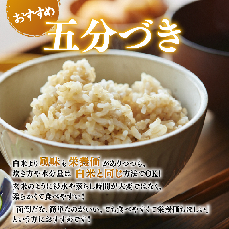 お米 5分づき ヒノヒカリ 10kg×1回 毎月発送 令和7年産 定期便 定期 米 精米 産地直送 農家直送 おむすび おにぎり こめ お弁当 ご飯 ごはん ブランド米 奈良県 奈良市 なら 45-0