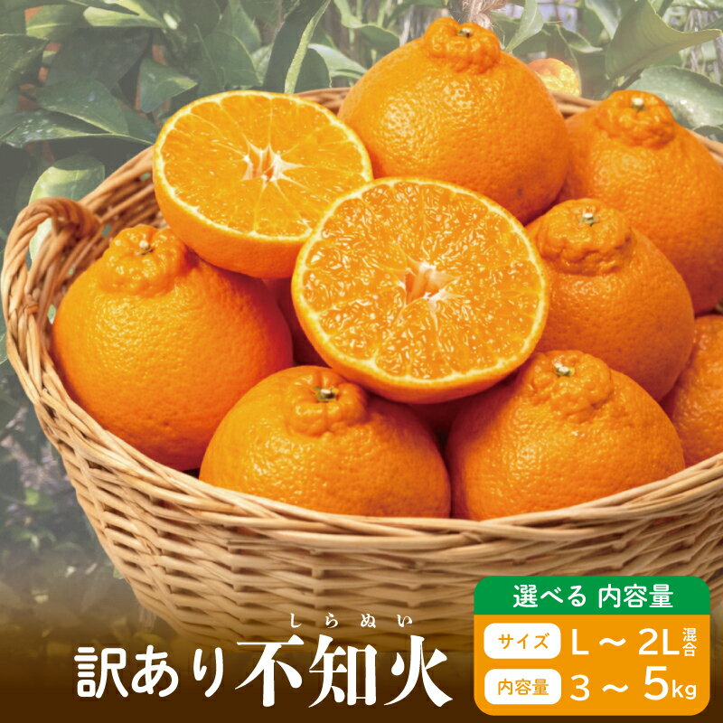 【ふるさと納税】 訳あり 不知火 選べる 約3kg 約5kg L～2L しらぬい みかん 蜜柑 果物 フルーツ 柑橘 オレンジ ゼリー ジュース アイス ケーキ デザート スイーツ ジャム 糖度 甘い 不揃い 混合 ビタミン 美容 健康 送料無料 徳島県 阿波市 山中農園