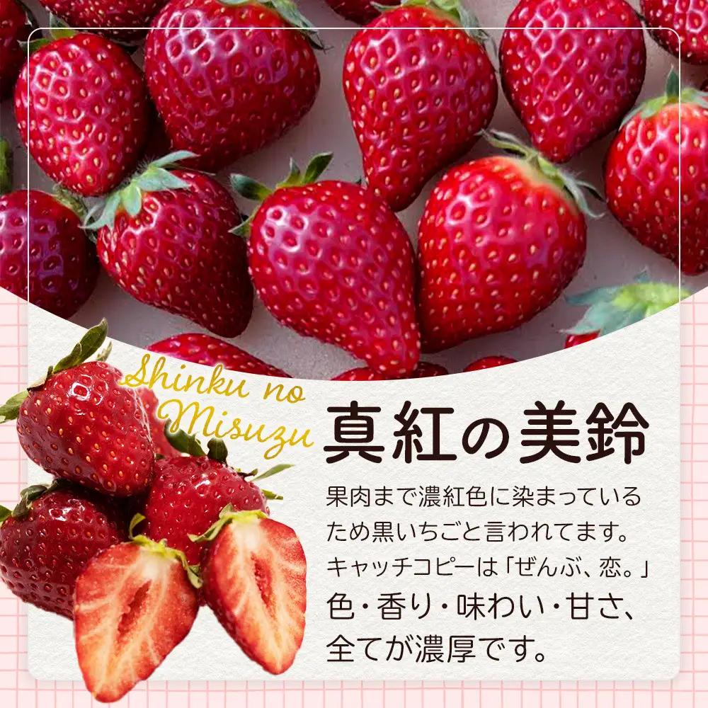 【先行予約受付】≪2027年1月発送≫【数量限定】黒箱 厳選4種の完熟いちご1箱セット ｜果物 いちご 朝取り 新鮮 ハート フルーツ デザート ストロベリー デザート スイーツ 苺 イチゴ 大田原市