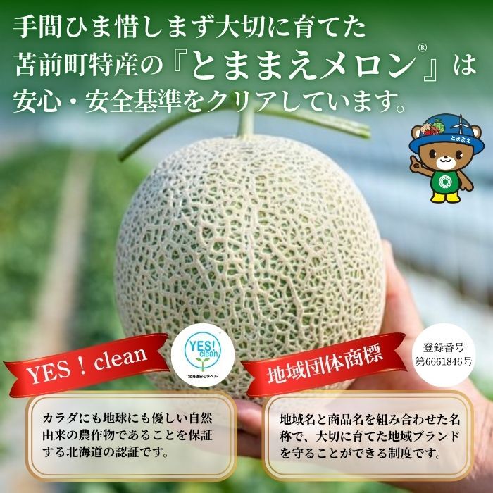 【2026年7月中旬から発送】とままえメロン 2玉 計3.2kg前後 大玉サイズ 北海道産 先行 予約 受付 赤肉 甘い 糖度14度 旬 産地直送 めろん フルーツ 果物 デザート 北海道 苫前町 と