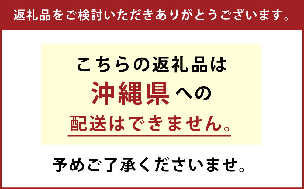 【2ヶ月毎2回定期便】マウスウォッシュ メイクアニューハビット （ノンアルコール フルーティシトラス）975ml×5個 セット