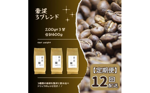 
【定期便】総社珈琲3種飲み比べ（名勝豪渓編）600g（200g×3袋）【ドリップレシピ付き】〔12回配送〕
