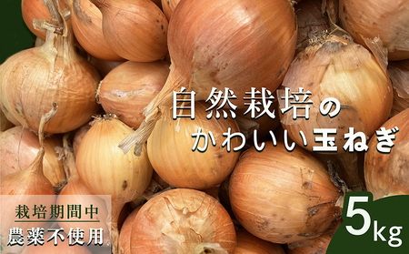 たまねぎ 5kg かわいい玉ねぎ かたもとオーガニックファーム