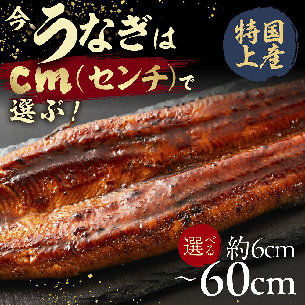 【ふるさと納税】今、うなぎはセンチで選ぶ！ 長さ選べる 国産 うなぎ蒲焼 カット鰻 うなぎ ウナギ unagi カット済 うな重 冷凍 うな丼 ストック 蒲焼 タレ付 選べる 簡単 簡単調理 訳あり 規格外 人気 三河 10 1万円 10000円 愛知県 豊橋市