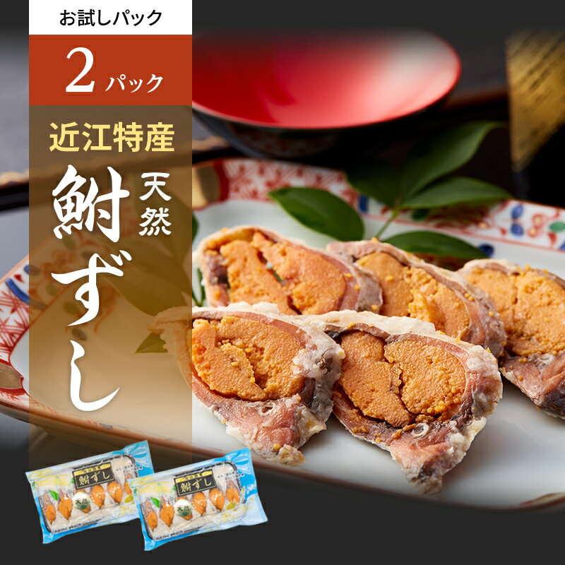 【ふるさと納税】お試し 鮒ずし 天然ニゴロブナ ふなずし パック×2 鮒寿司 郷土料理 滋賀名物 ご当地 名物 少量パック 加工食品 鮒 フナ 魚 魚介 魚介類　 豊郷町