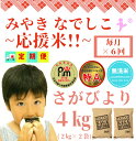 【ふるさと納税】【みやきなでしこ】応援米【6回定期便】【無洗米】さがびより4kg（2kg×2袋）（CI732）