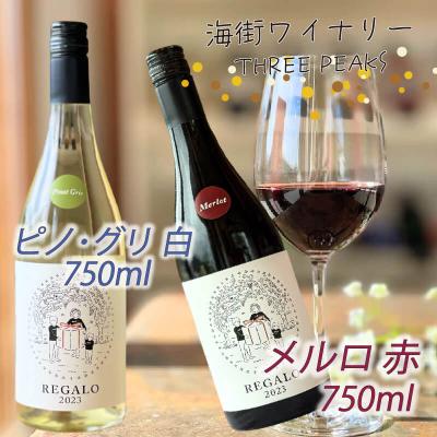 ふるさと納税 大船渡市 メルロ/ピノグリ 2本セット750ml
