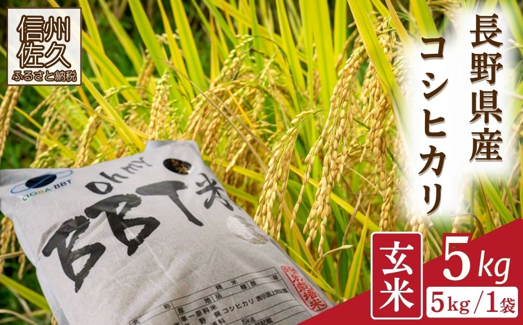 【令和7年産・玄米5kg】特別栽培米　BBT米（五郎兵衛米） 〈2025年9月中旬頃～順次発送〉 先行予約　新米　信州　こしひかり【 長野県 佐久市 】
