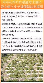 【ご家庭用訳あり】田村みかん　5kg ※2024年11月下旬頃～2025年1月下旬頃発送（お届け日指定不可）訳ありみかん 温州みかん【uot754】