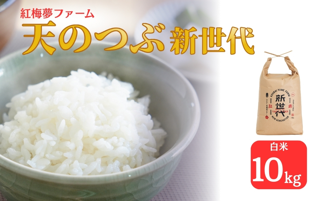 天のつぶ「新世代」 白米 10kg | 令和7年産 2025年産 米10kg 精米 米10キロ ごはん 福島県産 南相馬 福島 紅梅夢ファーム ad001-ac