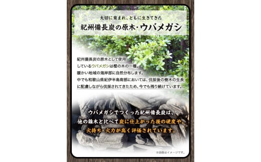 紀州備長炭馬目荒約15kg株式会社紀《30日以内に出荷予定(土日祝除く)》備長炭炭プロの料理人愛用---wshg_hjm4_30d_23_55000_15kg---｜備長炭備長炭備長炭備長炭備長炭備長