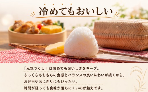 《令和8年産 新米 》  元気つくし 10kg 白米   ふるさと納税限定 ふるさと納税限定品 定期便 kome 精米 お米 米 白米 食品 ご飯 飯 福岡県産 防災 生活応援 九州 福岡県 川崎町