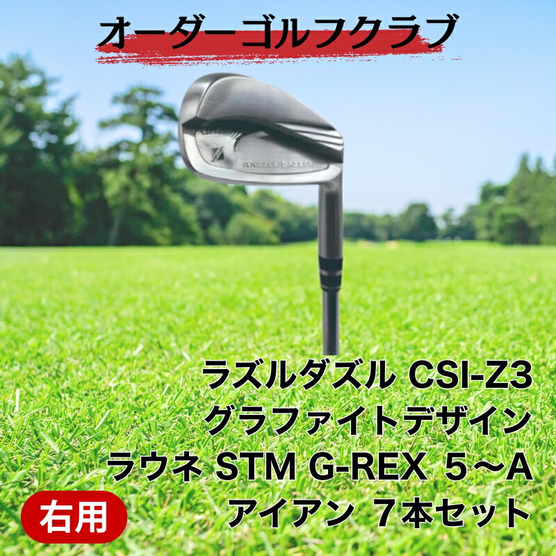 【ふるさと納税】ゴルフ ゴルフクラブ ラズルダズルCSI-Z3 アイアンセット グラファイトデザイン ラウネ オーダーメイド アイズファクトリー｜F41