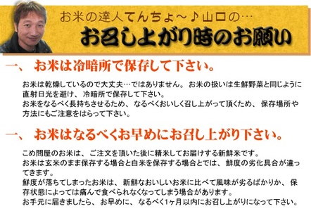 令和7年産 大泉町産 にじのきらめき （精白米）20kg ※2025年11月上旬～2026年3月下旬頃に順次発送予定