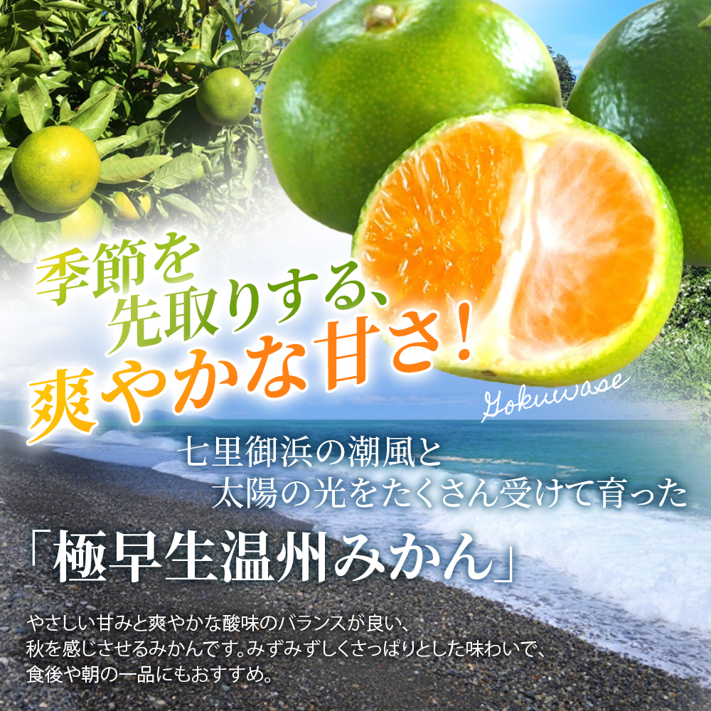 仲森農園の極早生温州みかん 約5kg みかん ミカン 蜜柑 温州みかん 温州ミカン 柑橘 フルーツ 果物 くだもの 甘い 旬 数量限定 期間限定 産地直送 10000円 三重県 熊野市【2026年9月