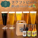 【ふるさと納税】【仙南シンケンファクトリー厳選】 クラフトビール飲み比べ5種6本セット | お酒 さけ 人気 おすすめ 送料無料 ギフト セット