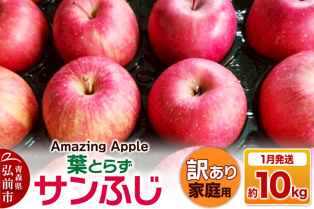 【27年1月発送】りんご 葉とらずサンふじ【訳あり】家庭用 約10kg [りんご サンふじ 葉とらず ふじ 訳あり 家庭用 10kg アップル おいしい 果実 果物 取ら 赤色 美味 葉っぱ 林檎 青森県 弘前市]