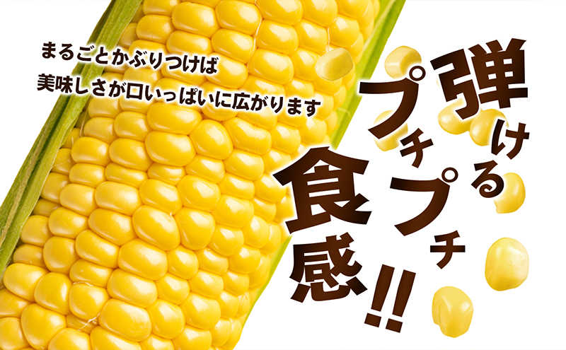 とうもろこし イエローコーン 約3kg 8から12本 黄金色 大粒 ジューシー スイートコーン コーン 玉蜀黍 焼きとうもろこし 茹でとうもろこし コーンスープ バーベキュー 野菜 冷蔵 お取り寄せ 五色青果 香川県 東かがわ市 46311934