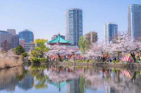 東京都台東区 ANAトラベラーズホテル割引クーポン（22,500点）