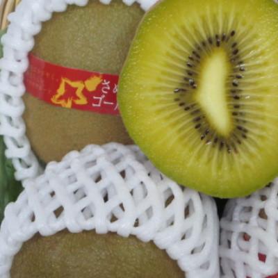 ふるさと納税 三豊市 【発送月固定定期便】香川県・三豊市共通返礼品　フルーツ旬の果物　Dセット全4回 |  | 01