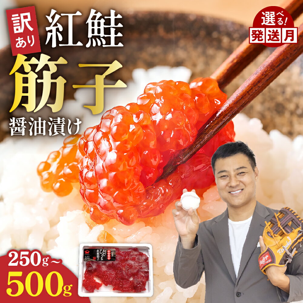 【ふるさと納税】〈選べる量・配送月〉訳あり 北海道 紅鮭 筋子 醤油 漬け 250g～500g (250g×2個入） 加藤水産 ひとくちカット 不揃い 小分け 海鮮 海産物 魚介類 魚卵 鮭 すじこ いくら イクラ 訳アリ おせち R002-004