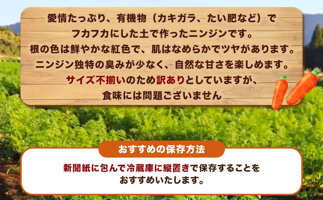 【訳あり】農家直送！ 土付き 人参 （向陽二） 5kg