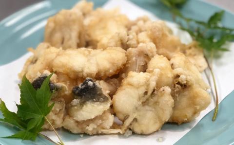 鮮度と品質に自信あり！朝〆新鮮！とらふぐ贅沢ぶつ切り（約600g）