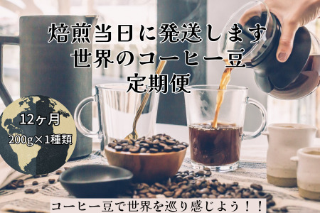 【コーヒー豆定期便12か月】世界を旅するコーヒー 苦いのは苦手、深煎り抜き 200g　焙煎幸房“そら”