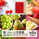 【ふるさと納税】【先行予約】雅 フルーツ 定期便 山形 2025年産 令和7年産 さくらんぼ 佐藤錦 紅秀峰 桃 もも シャインマスカット ラ・フランス りんご サンふじ 全6回 フルーツ定期便 桐箱 ギフト 贈答用 送料無料 ※沖縄・離島への配送不可 mm-ft6my