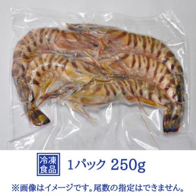 ふるさと納税 伊万里市 伊万里産 冷凍車海老(加熱用)250g×5【訳あり】 |  | 01
