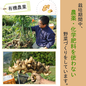 【桐島畑】ジンジャーシロップ 1本（480g） 栽培期間農薬 化学肥料不使用 生姜 Fkh-A08／ 生姜 しょうが 生姜シロップ ジンジャー 無農薬