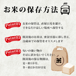 ヒノヒカリ 5kg 令和7年産 先行予約 新米 京都府八幡市