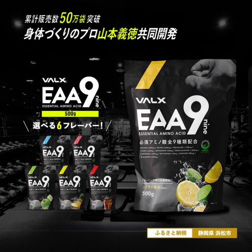 VALX EAA 9 500g 選べる6種フレーバー 必須アミノ酸 9種配合 β-アラニン 3,000mg 国内生産 山本義徳 パウダー 粉末 サプリ シトラス コーラ 青りんご ライチ 筋トレ ダイエット アミノ酸 BCAA