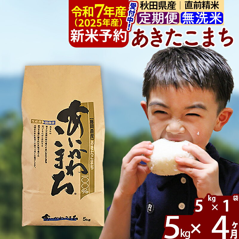 【ふるさと納税】※令和7年産 新米予約※《定期便4ヶ月》秋田県産 あきたこまち 5kg【無洗米】(5kg小分け袋) 2025年産 お届け周期調整可能 隔月に調整OK お米 藤岡農産