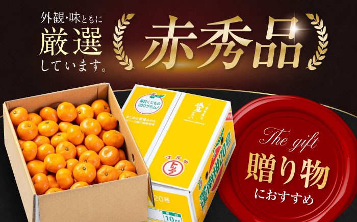 フルーツの代表！愛媛みかん 南柑20号 赤秀10kg箱（100玉～160玉） 