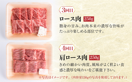 飛騨牛 定期便 4回 焼肉 食べ比べ 250g×4回 焼き肉 牛肉 もも ロース バラ 肩ロース 毎月お届け バーベキュー BBQ JAひだ 40000円 [S401]