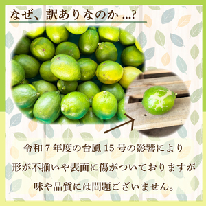 【先行予約 国産 訳ありレモン】 3kg れもん 檸檬 タタラ商店 